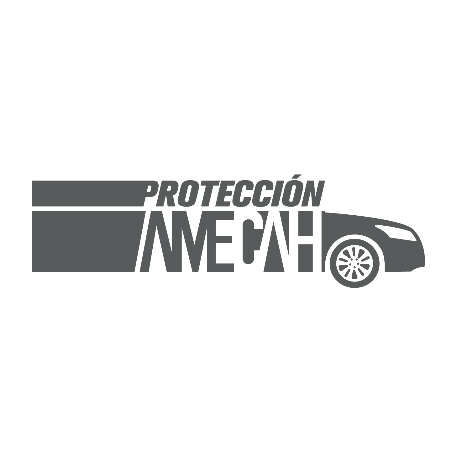 PROTECCION-AMECAH.jpg